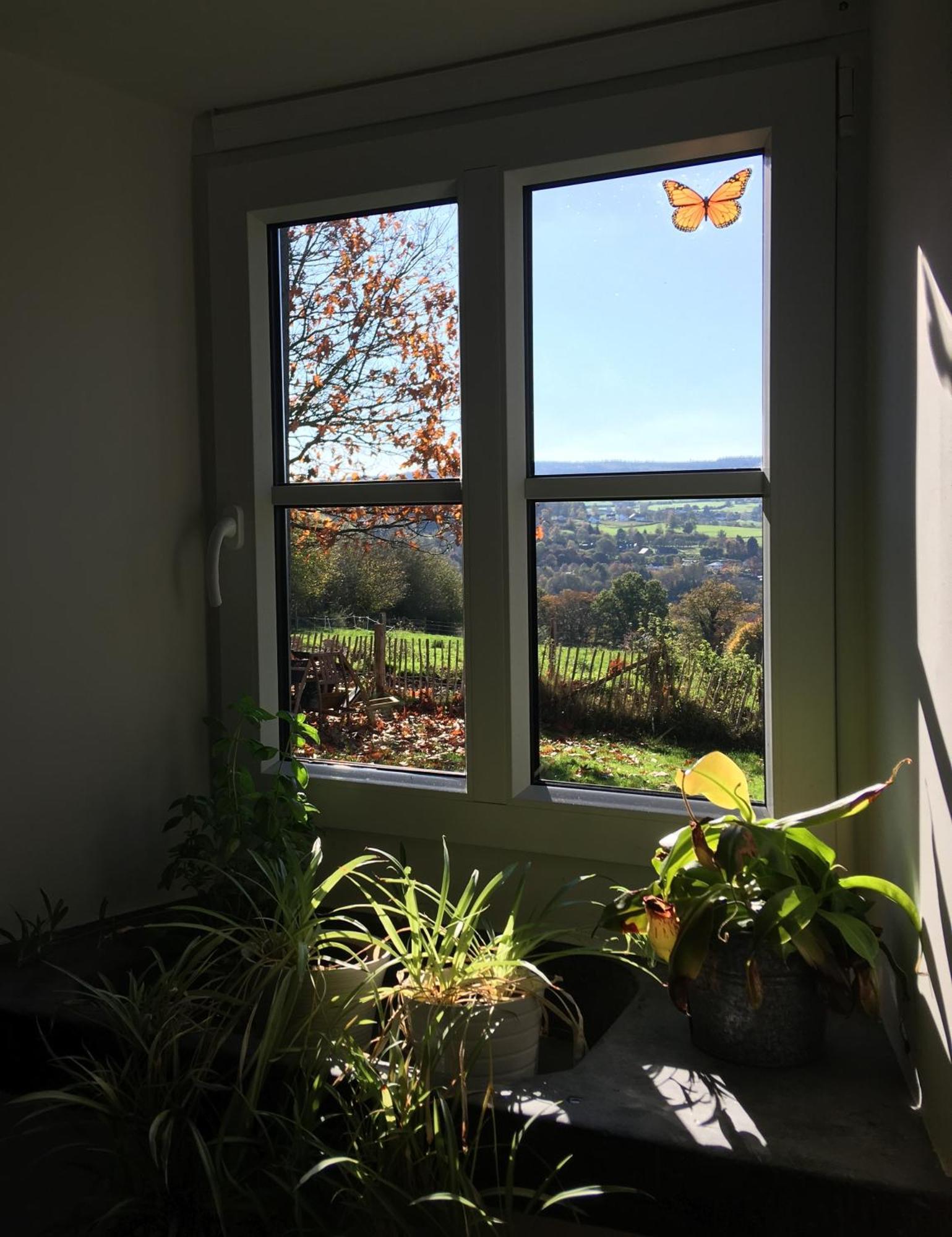 La Maison De Julienne - Ligneuville Malmedy Exteriér fotografie
